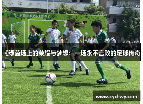 《绿茵场上的荣耀与梦想：一场永不言败的足球传奇》